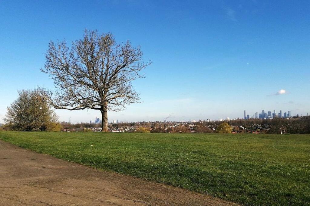 Appartamento Spacious Modern 1-bedroom In Catford - Excellent Transport Links - Ideal For Long Londra